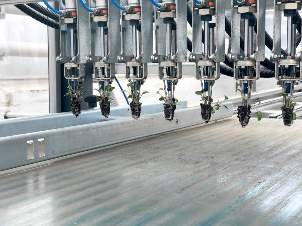 Automatic transplanting machine TPA-grippers