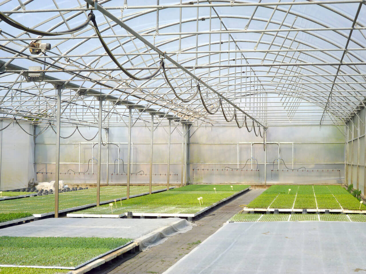 Single-rail irrigation wing SA-greenhouses