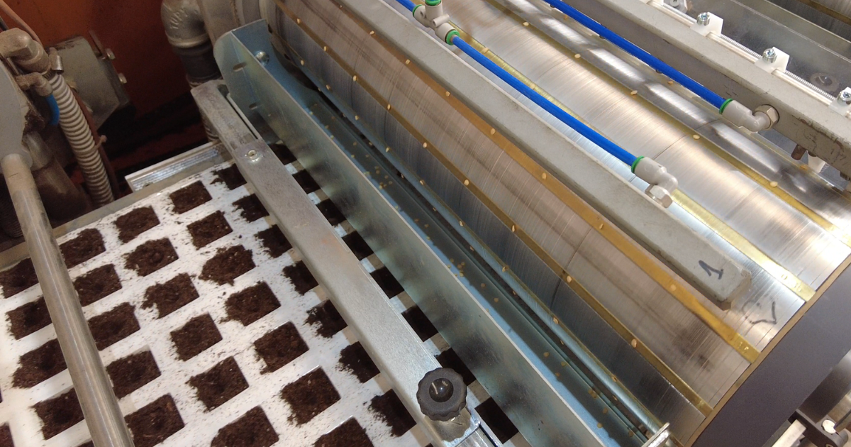 Sowing trays: all-in-one management with a single operator - Plant ...