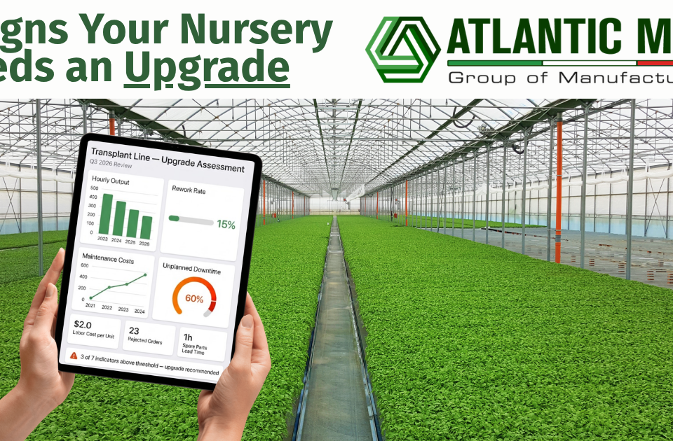 Atlantic Man. - Nursery Upgrade